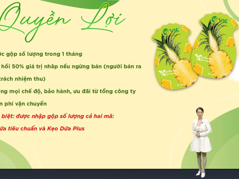 RA MẮT KẸO DỨA GIẢM CÂN PLUS 7 VỊ 